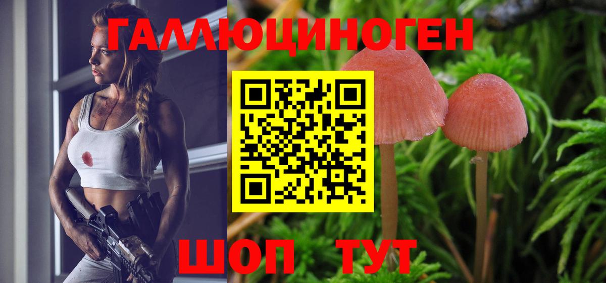 Псилоцибиновые грибы мухоморы Мончегорск