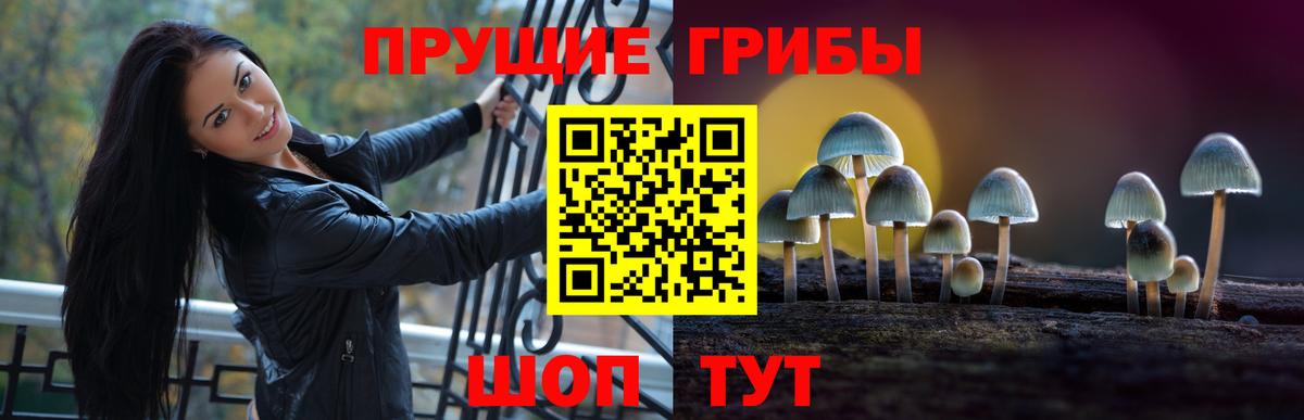 Псилоцибиновые грибы Magic Shrooms  Вход с VPN  Галлюциногенные грибы прущие грибы  Мончегорск 
